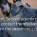 White house dog bites agents