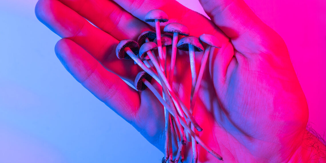 Drug dealers brazenly sell psilocybin mushrooms in Washington Square Park