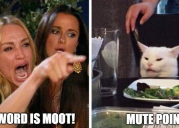 moot vs mute point