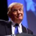 Donald Trump Wikipedia