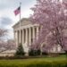 Supreme Court and Cherry Blossoms