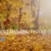 Most common autumn injuries
