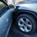 5 Individuals 1 Dog Perish in Fiery Crash