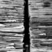 files-1614223_1920