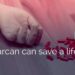 Good samaritan administering Narcan