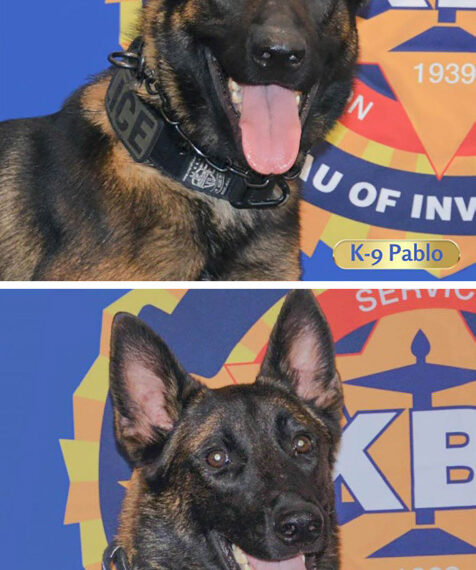 Kansas launches special K-9 unit to combat opioid crisis in new initiative