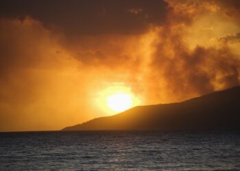 Maui Wildfire Deaths: Were They Preventable?