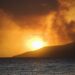 Maui Wildfire Deaths: Were They Preventable?