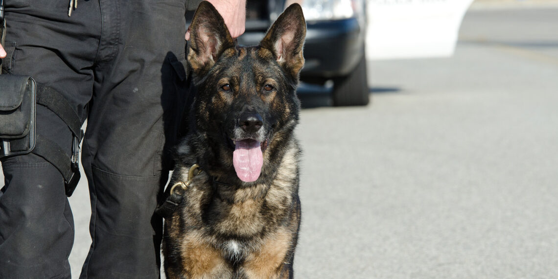 Bedford Heights Police Department reunites police K-9 with handler after outcry from community