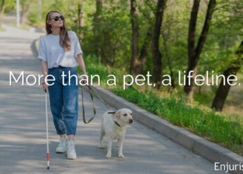 Service animals vs. emotional support animals