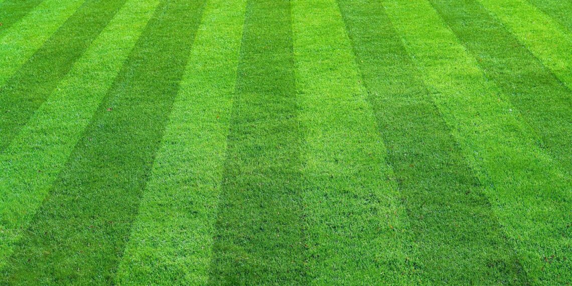 What Aaron Rodgers, Mike Rowe, and Taylor Swift teach us about workplace risks: Employment & Labor Insider