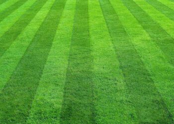 What Aaron Rodgers, Mike Rowe, and Taylor Swift teach us about workplace risks: Employment & Labor Insider