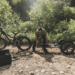 QuietKat E-Bikes Revolutionize Search and Rescue Operations – Law Officer