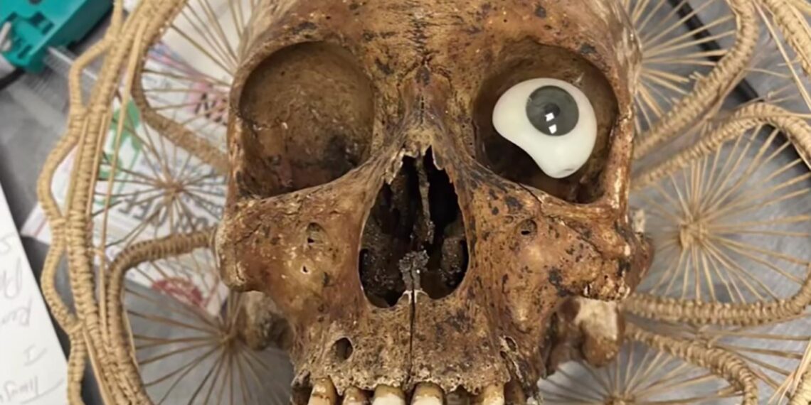 Bone-chilling: Human skull found in donation box at Arizona Goodwill store