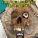 Bone-chilling: Human skull found in donation box at Arizona Goodwill store