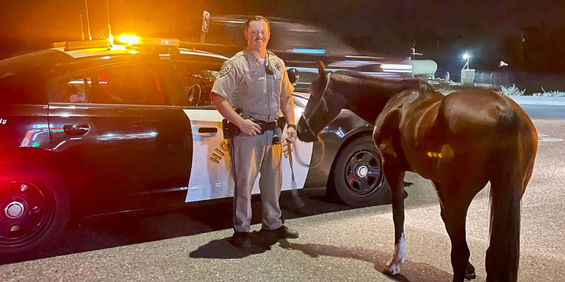 California Highway Patrol arrests man on horseback for DUI