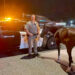 California Highway Patrol arrests man on horseback for DUI
