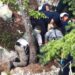 Team effort, police drone save missing hiker