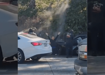 Car crash victim targeted by masked robbers on LA freeway – Law Officer