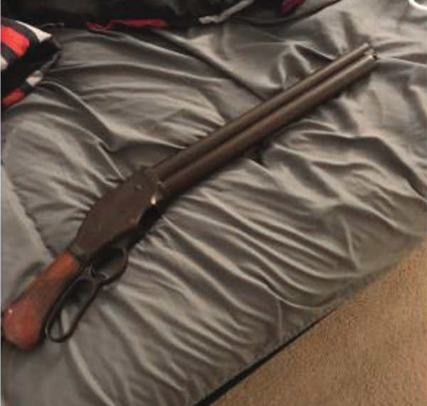 Gun on a bed