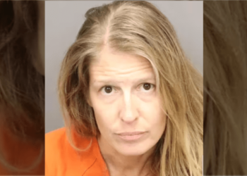 Tampa attorney leaves young children alone on beach where a 3-year-old was found in the surf – Law Officer