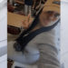 Former Wisconsin teacher charged for sexual assault of 13 year-old student – Law Officer