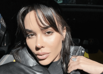 Influencer arrested after driving Dodge Charger that resembled police car – Law Officer