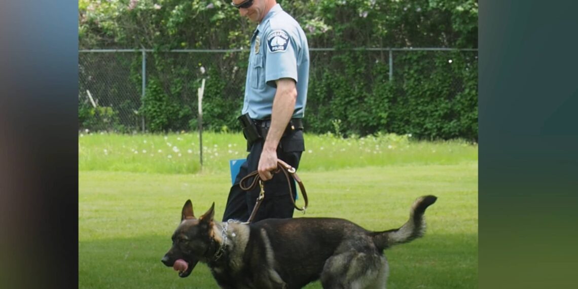 Convicted officer’s family speaks out on loss of faith in justice system – Law Officer