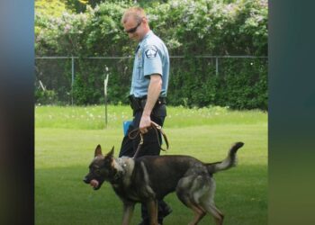 Convicted officer’s family speaks out on loss of faith in justice system – Law Officer