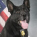K9 Rio, Georgia Department of Natural Resources, Georgia