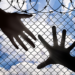 immigration fence and two hands