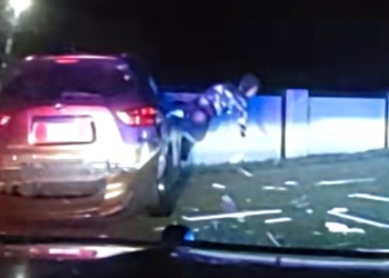 Fla. driver jumps out of car window 'like a dolphin' during pursuit