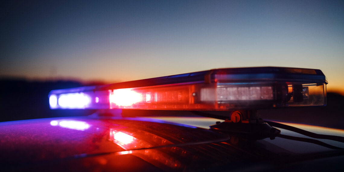 Heroic Michigan police officer saves the life of choking toddler during routine traffic stop