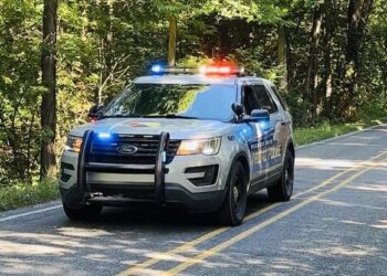 Mich. officer fired after killing 'friendly' deer against department instructions