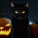 Happy Halloween! — See Also