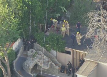 Man charged with murder after human remains excavated from backyard in Los Angeles neighborhood – Law Officer