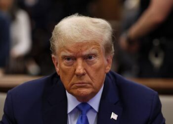 Even Trump’s Lawyers Read Above The Law — See Also