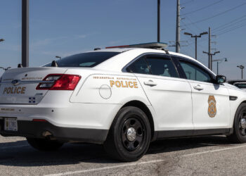 Man released on bond despite ramming police cars again