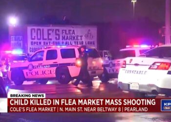 Cole's Flea Market in Pearland, Texas
