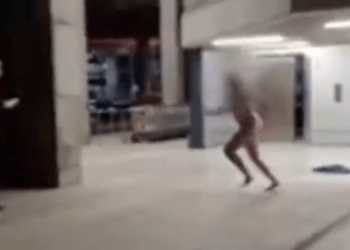 Naked woman high on mushrooms attacks people in airport – Law Officer