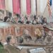 Woman speaking to all nine justices in front of a crowd of listeners and journalists