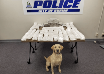 Fentanyl seizure in Washington had potential to kill 10 million people – Law Officer