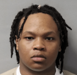 Teen gets 32-year sentence in murder of St. Paul woman – Law Officer