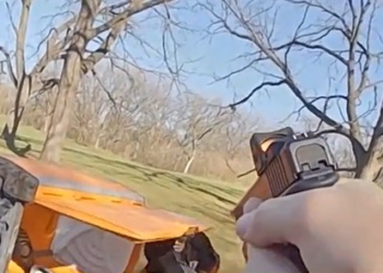 Wis. police capture car theft suspect trapped in porta-potty