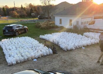 Authorities seize whopping $8.5 million worth of psychedelic mushrooms in Connecticut drug bust