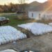 Authorities seize whopping $8.5 million worth of psychedelic mushrooms in Connecticut drug bust