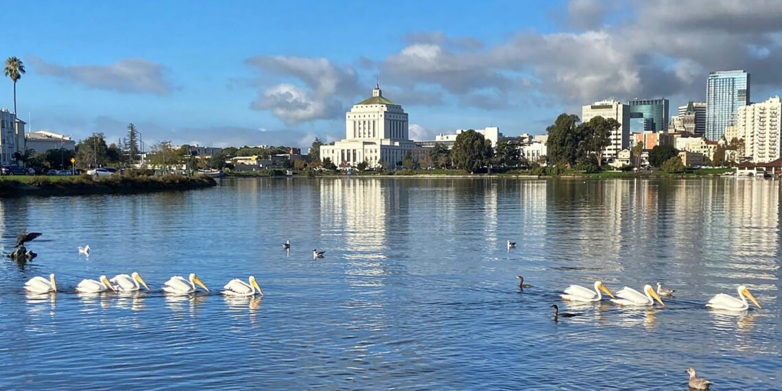 Murder at Lake Merritt: Body found stuffed inside suitcase in gruesome Halloween discovery