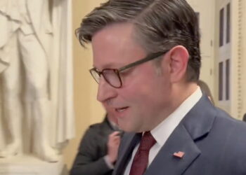 Johnson Mocks Reports GOP Plan to Defund IRS Will Cost US Taxpayers Up to $90 Billion