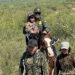 Border Woes and the Busy Patrols – Law Officer
