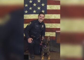 Ohio city allows officer to keep K-9 partner after transfer